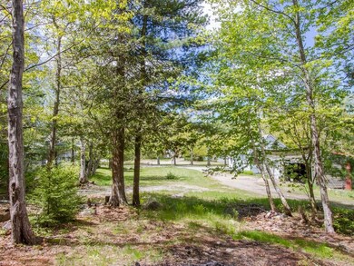 A wooded area in the rear of the lot...