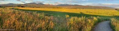 Panarama View