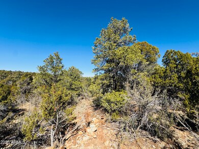 4108 Sunset Ridge Loop unit 135, Happy Jack, AZ 86024 - photo 7