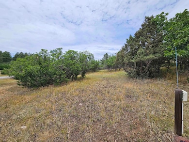 8 Caballero Dr, Pagosa Springs, CO 81147 - photo 7