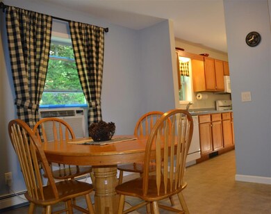 76 New Hampshire Dr, Webster, NH 03303 - photo 7