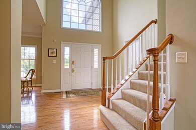 25238 Crossfield Dr, Chantilly, VA 20152 - photo 3