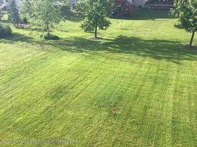 back yard 2