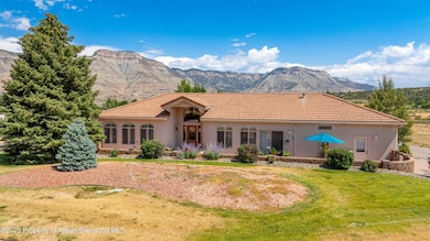 74 Hogan Cir, Parachute, CO 81635 - photo 4