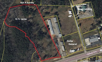 TRact #1 Hwy 79 N, Buchanan, TN 38222 - photo 6