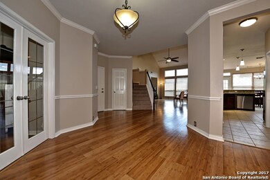 10536 Black Horse, Helotes, TX 78023 - photo 4