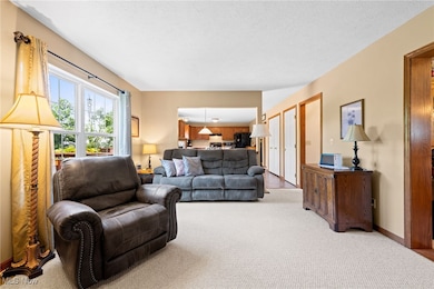 107 Cedar Glen, Chardon, OH 44024 - photo 6