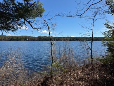 Views from the property