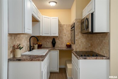 1025 22nd St, Rock Island, IL 61201 - photo 6