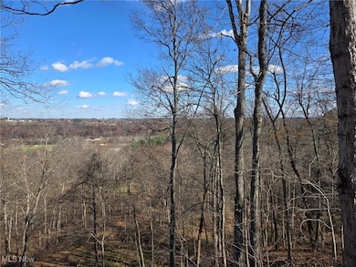 0 Echo Hill Rd, Malta, OH 43758 - photo 5