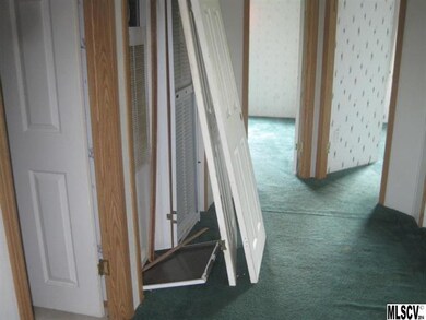 88 Cottonwood Rd, Burnsville, NC 28714 - photo 4