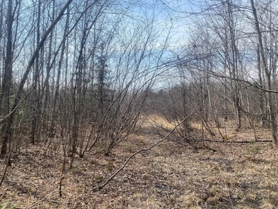 ON Skinner Creek Ln, Kennan, WI 54537 - photo 5