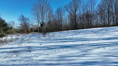 0 Section Line Rd, Rose Lake Township, MI 49655 - photo 7