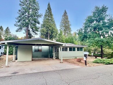 14437 Marysville Rd unit 1, Camptonville, CA 95922 - photo 4