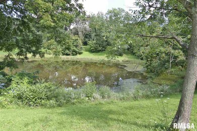 4322 N Padua Ln, Peoria, IL 61615 - photo 7