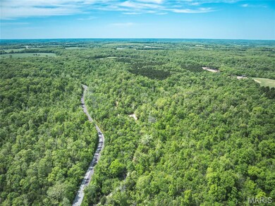 0 Lot H Armadillo Ln unit MIS25030851, Sullivan, MO 63080 - photo 5