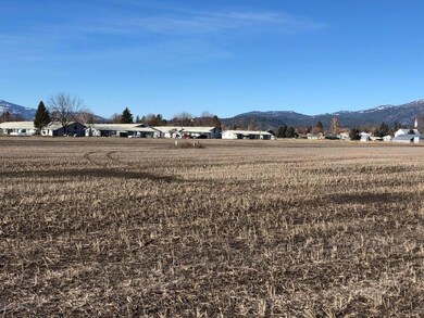 XXX 5th St E, Chewelah, WA 99109 - photo 3