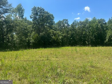 0 Rocky Knob Rd unit 10527508, Sylvania, GA 30467 - photo 2