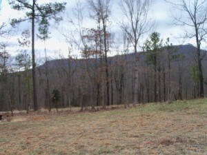 View from front yard