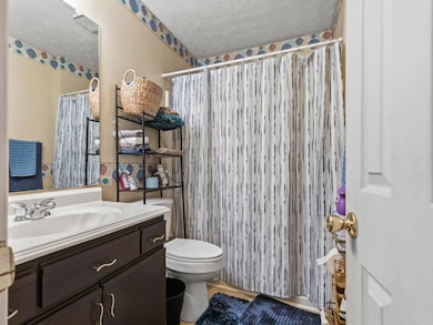 Full bathroom with vanity, a textured ceiling, and a shower with shower curtain
