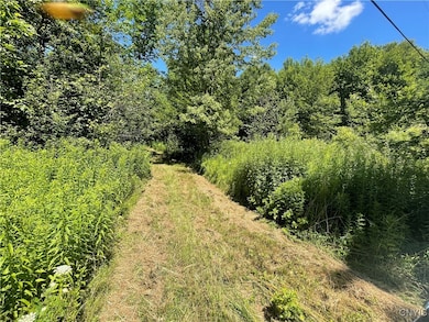 0 Meirs Rd, Williamstown, NY 13493 - photo 2