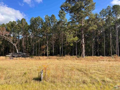 Lot 9,10,11 Cr 2204 D unit Meadows Subdivision, Tatum, TX 75691 - photo 3