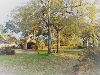 7333 Mimosa Dr, Pensacola, FL 32526 - photo 4