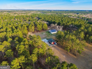 9418 Donnell Rd, Cobbtown, GA 30420 - photo 4