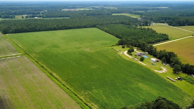 Overview of rural landscape with rows of crops
