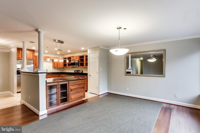 3 Southerly Ct unit 502, Towson, MD 21286 - photo 6