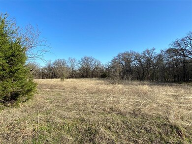 308 N Saddle Spur Ct, Weatherford, TX 76088 - photo 4