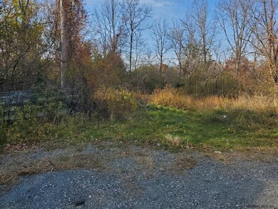 0 Pennsylvania Ave, Hampton Manor, NY 12144 - photo 2