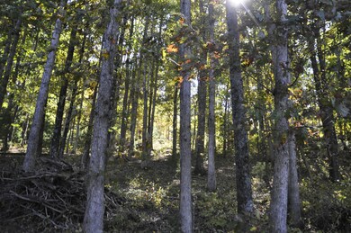 _DSC0003