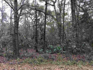 Lot 18 Stratton Ln, Crawfordville, FL 32327 - photo 2