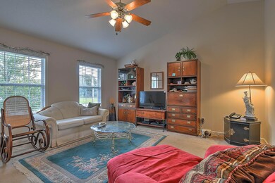Vaulted Ceilings