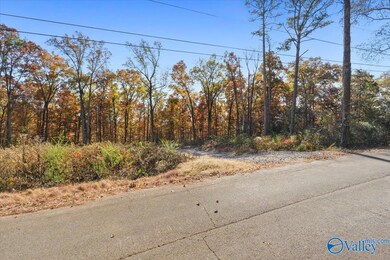244 Brentwood Ln, Madison, AL 35758 - photo 6