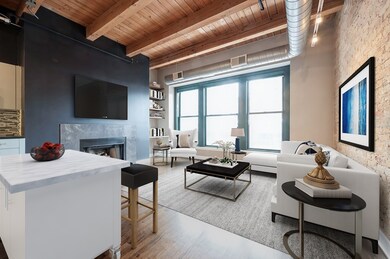 Ontario St. Lofts unit 409, Chicago, IL 60654 - photo 5