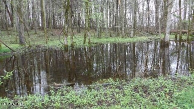 20.27ac Denton Rd, Moss, TN 38575 - photo 3