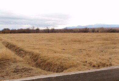 South pasture