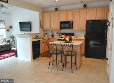 223 Arbor Vista Ln, Owings Mills, MD 21117 - photo 5