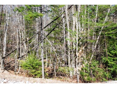 55 Grandview Rd, Conway, NH 03860 - photo 5