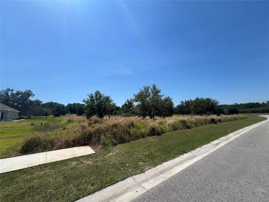 Front left side of property from FishHawk Heights Run