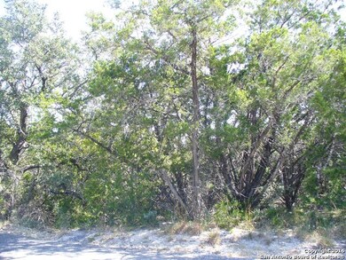 26026 Dull Knife Trail, San Antonio, TX 78255 - photo 4