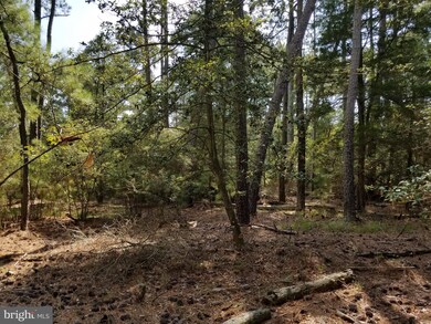 0 Toddville - Bishops Head Rd unit 1000999421, Toddville, MD 21672 - photo 6