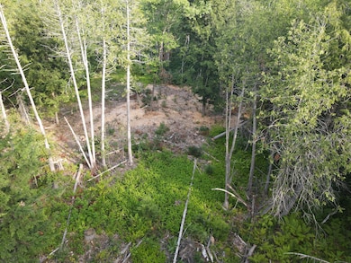 Lot 7 Oak Pond Rd, Skowhegan, ME 04967 - photo 3