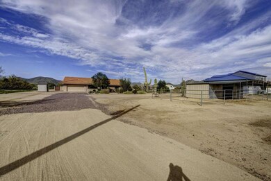 ForagentMaddock00002