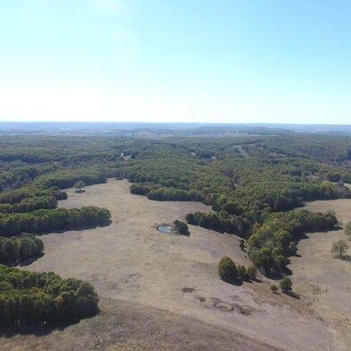 000 Farm Road 2080, Jenkins Township, MO - photo 2