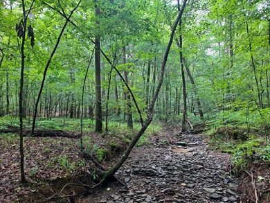 BigRidge_40-03