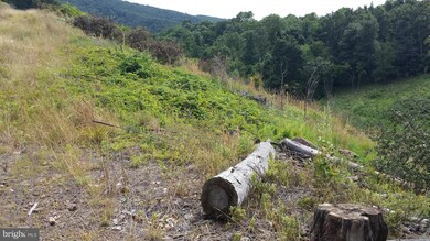 289 Ridgeview, Moorefield, WV 26836 - photo 7