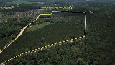 00 Stacey Bridge Rd, Orangeburg, SC 29118 - photo 3